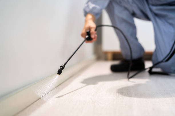 Licensed Termite Control service in Grove City, FL - Nex Pest Control