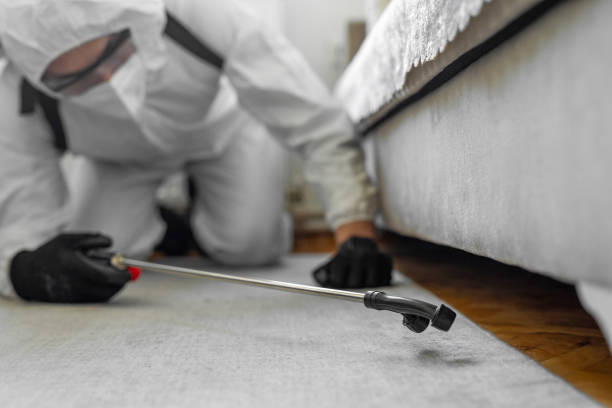 Professional Termite Control technician working in Grove City, FL