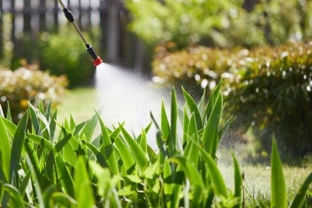 24/7 Emergency Termite Control experts in Grove City, FL