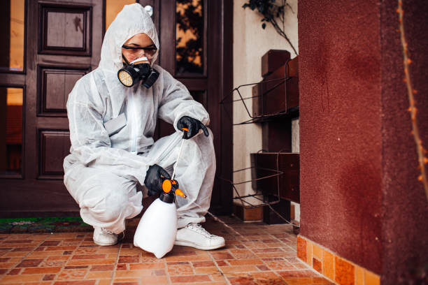 Reliable Termite Control contractor in Grove City, FL by Nex Pest Control
